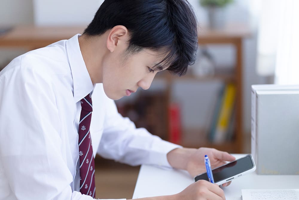 学校の補習・復習プラン（赤点回避重視）
