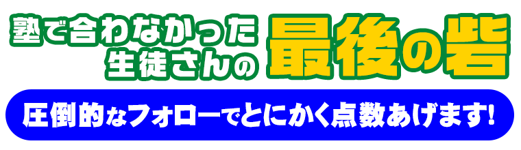 学習を成功に導く！1対1のオンライン個別指導