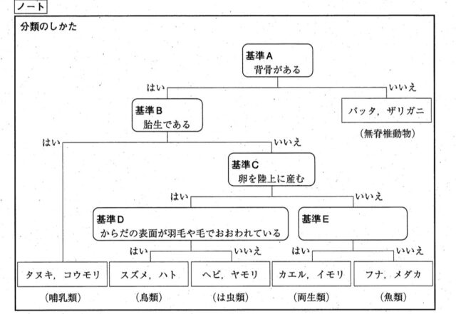 生物の分類の問題