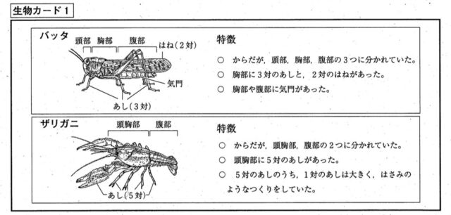 生物のからだのつくり