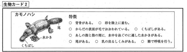 生物の分類
