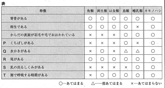 生物の分類