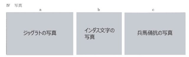 図20:問題の図(Ⅳ 写真)