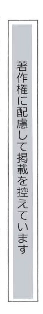 図3：問題の図