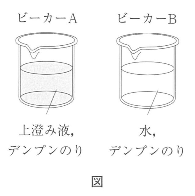 図24