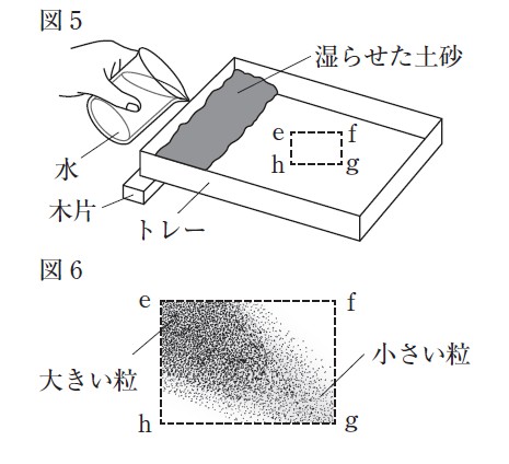 図29:問題の図(図5,6)