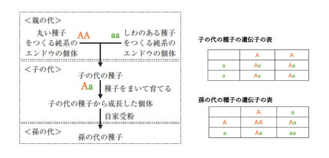 図8：解説の図