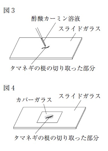 図31:問題の図(図3,4)