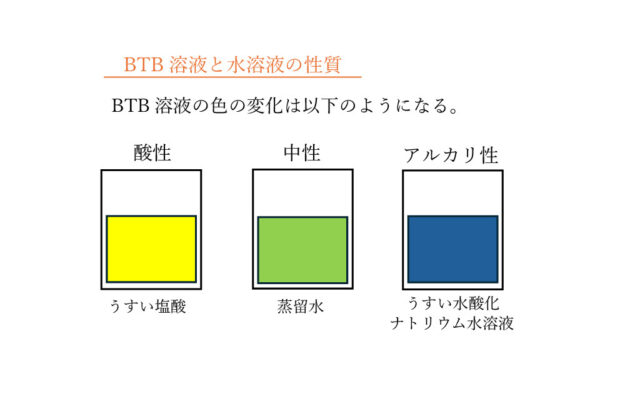 図13：解説の図(BTB溶液)