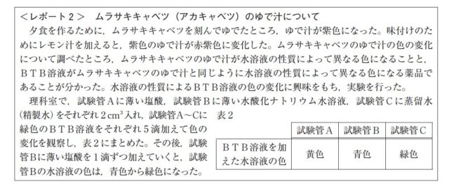 図11：問題の図(レポート2)