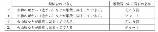 図24：問題の図(選択肢)