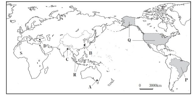 図3:問題の図(世界地図)