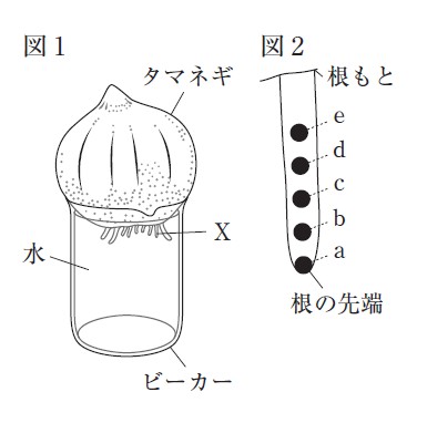 図30:問題の図(図1,2)