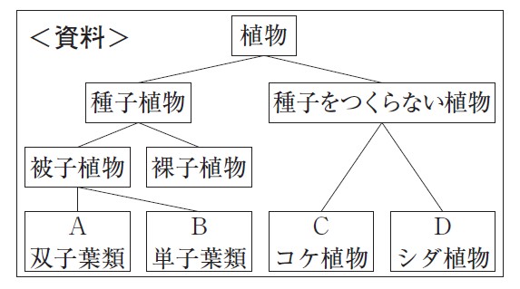 図10：問題の図(資料)