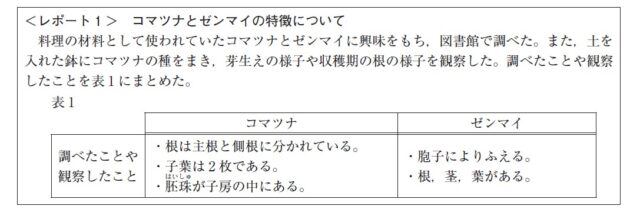 図9：問題の図(レポート1)