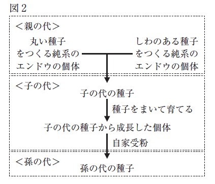 図7：問題の図(図2)
