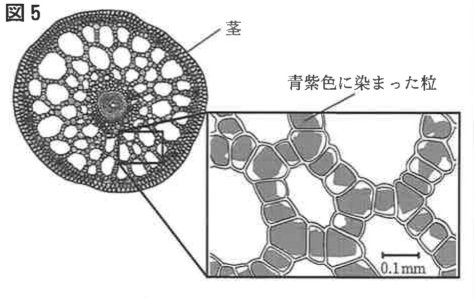 ※図5