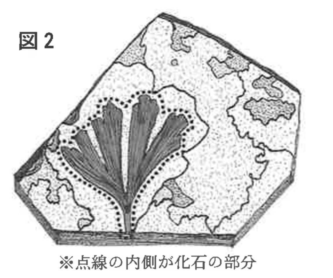 ※図2