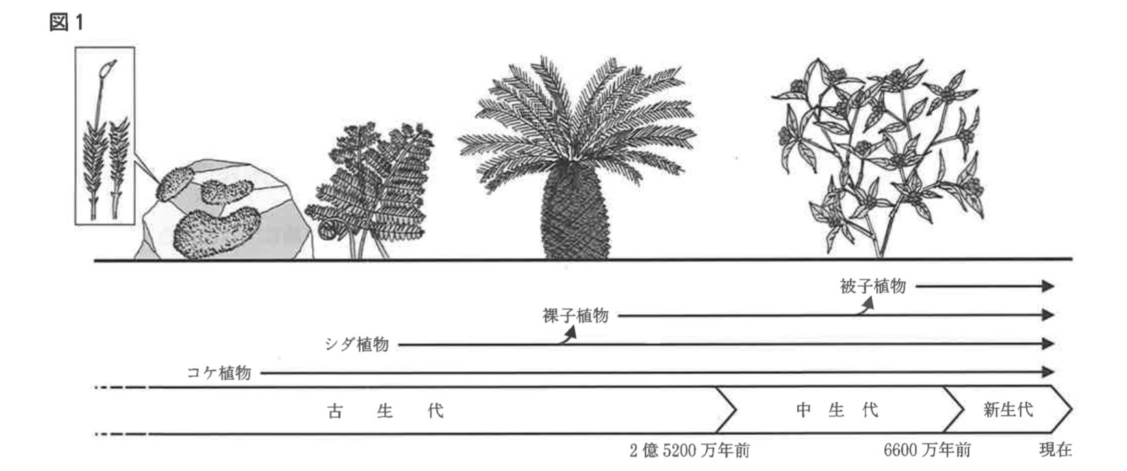 ※図1