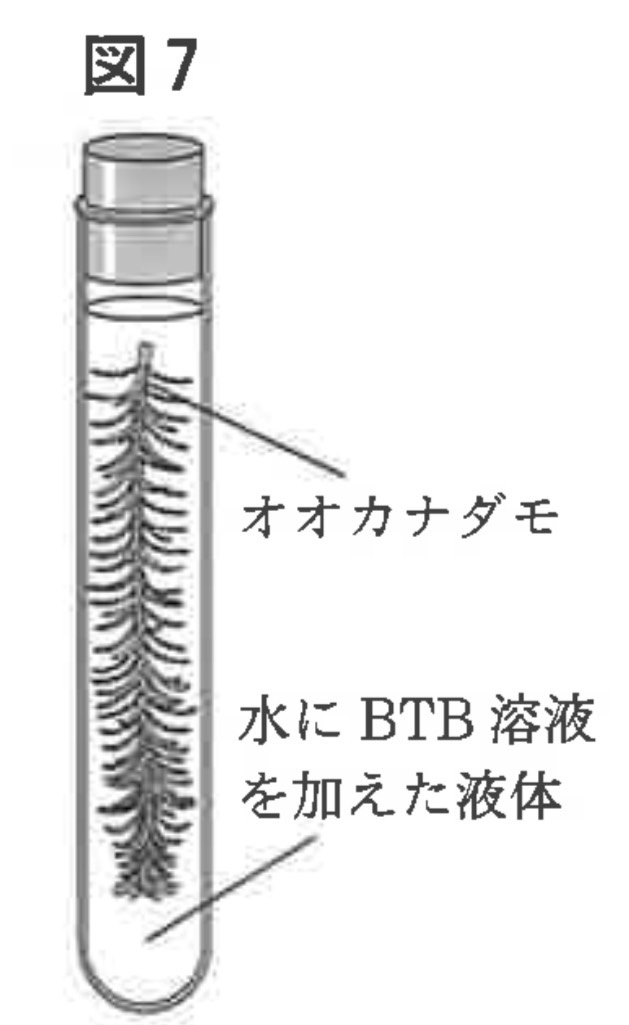 ※図7