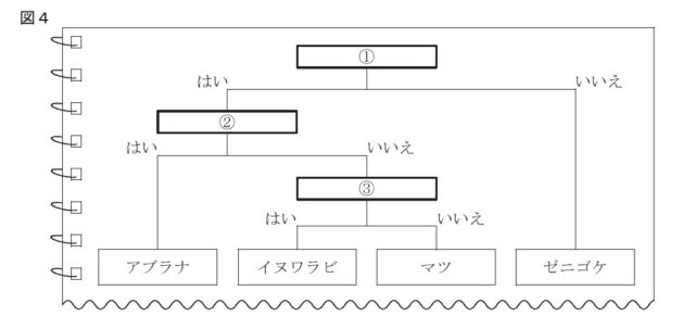 図17：問題の図(図4)