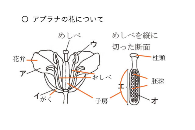図16：解説の図
