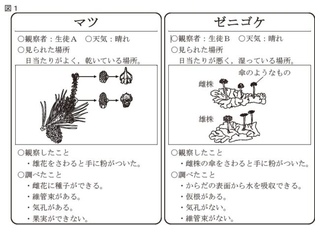 図12：問題の図