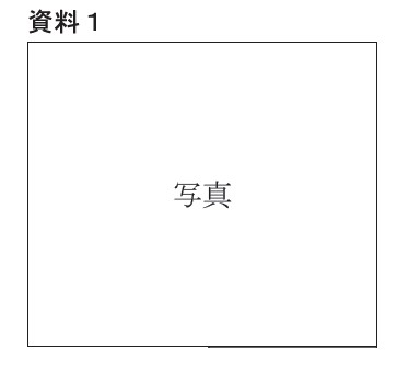 図4：問題の図(資料1)