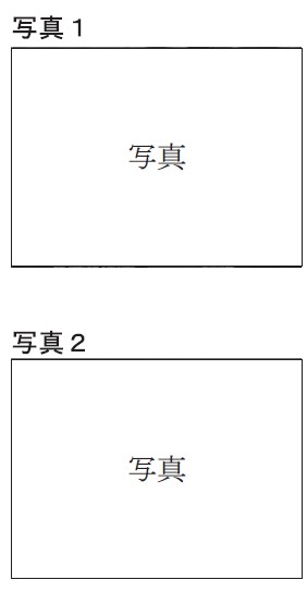 図29：問題の図(写真1・2)