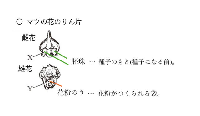 図15：解説の図