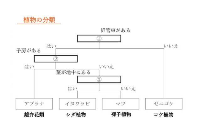図18：解説の図