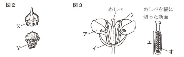 図14：問題の図(図2・3)