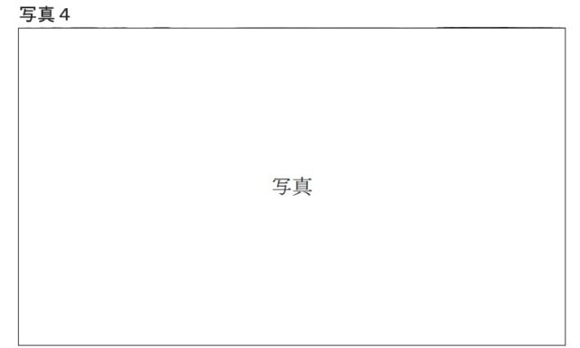 図31：問題の図(写真4)