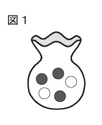 図6:問題の図(図1)