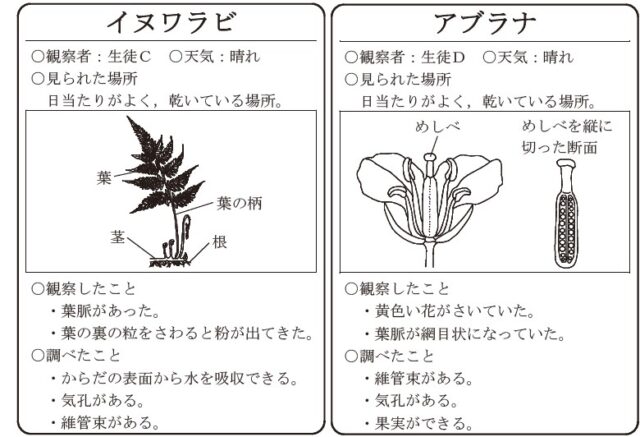 図13：問題の図