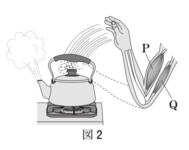 ※図13問題の図