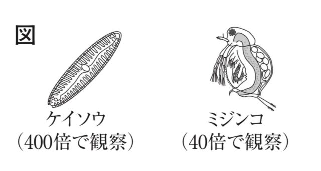 ※図24問題の図