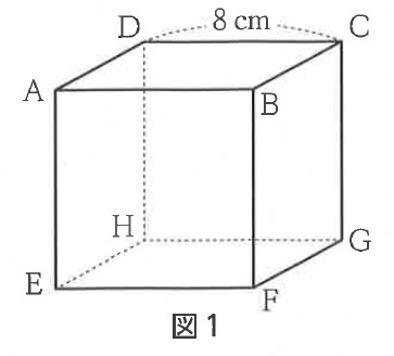 図43：問題の図